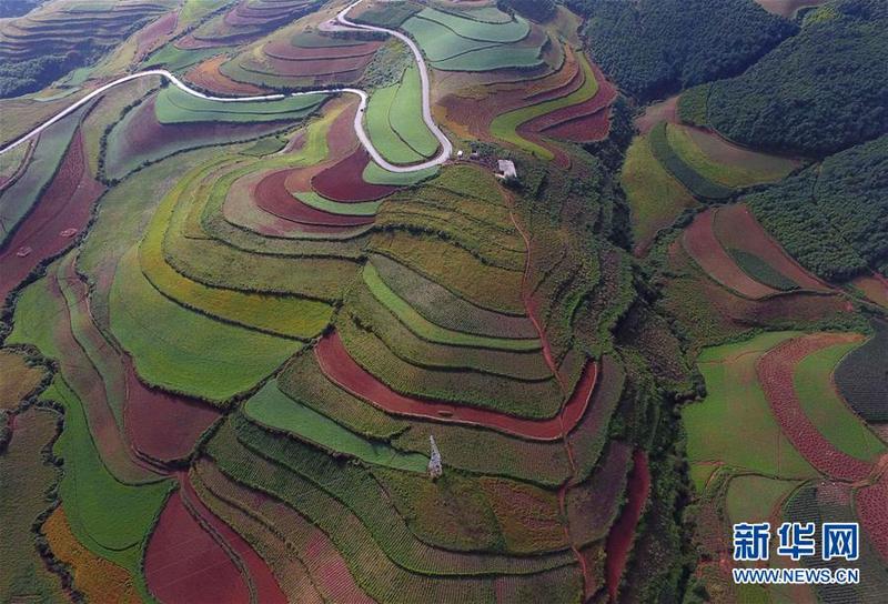（美丽中国）（2）飞越东川红土地