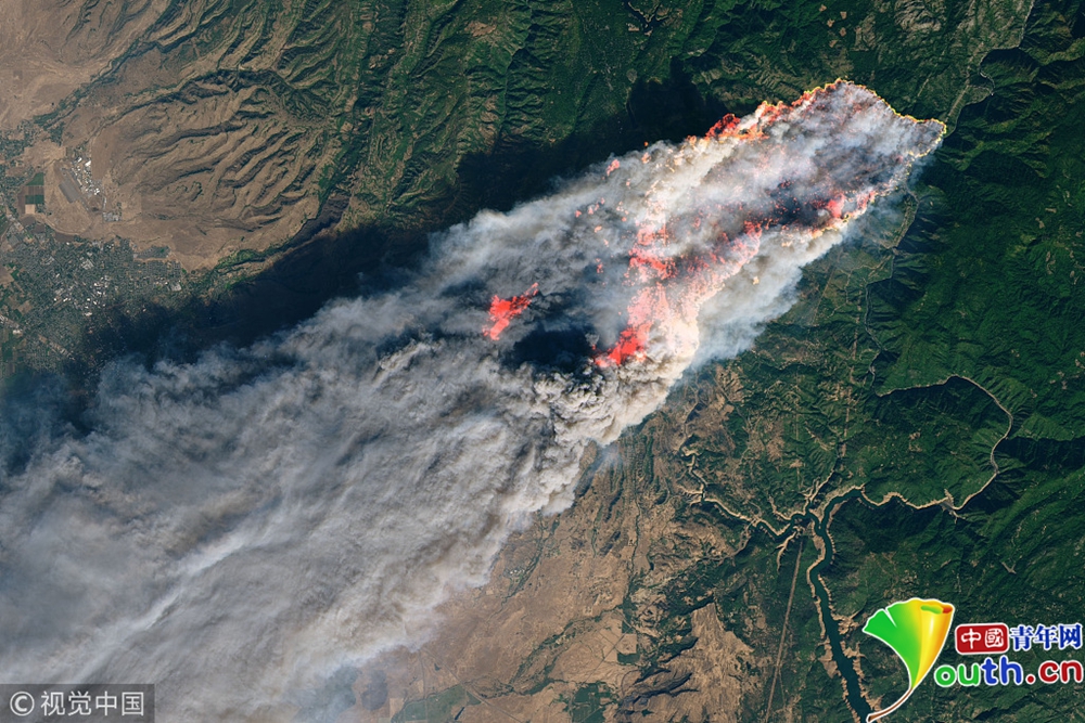 美国加州山火肆虐 动物流离失所 画面令人心酸