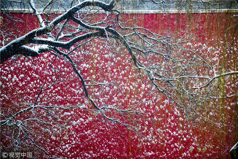 北京喜迎春雪 故宫里赏唯美雪景
