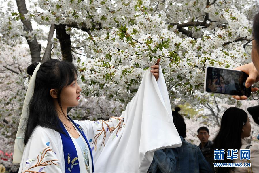 (社会)(3)赏花好时节