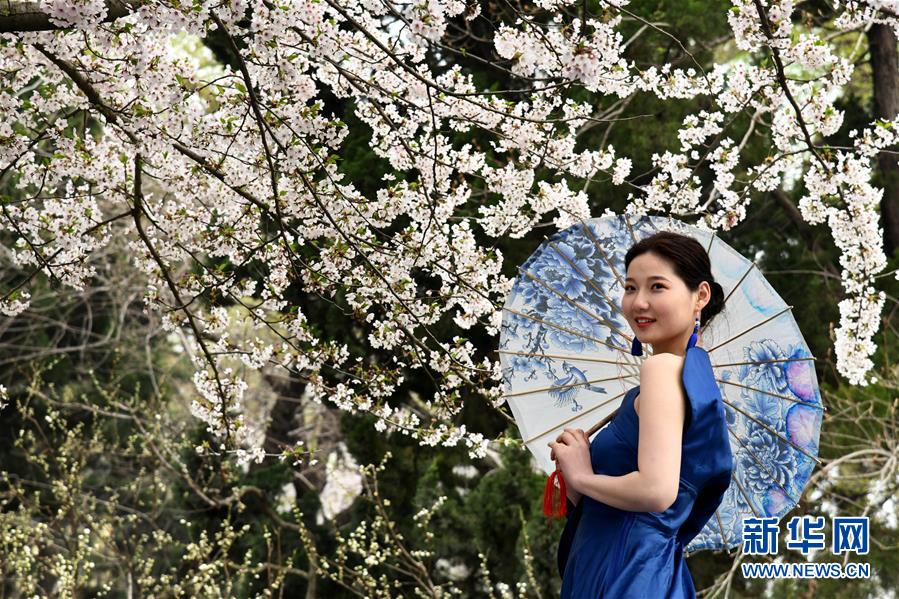 (社会)(4)赏花好时节