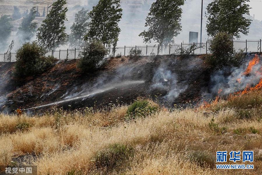 以色列迎来极端炎热天气 森林爆发山火浓烟滚
