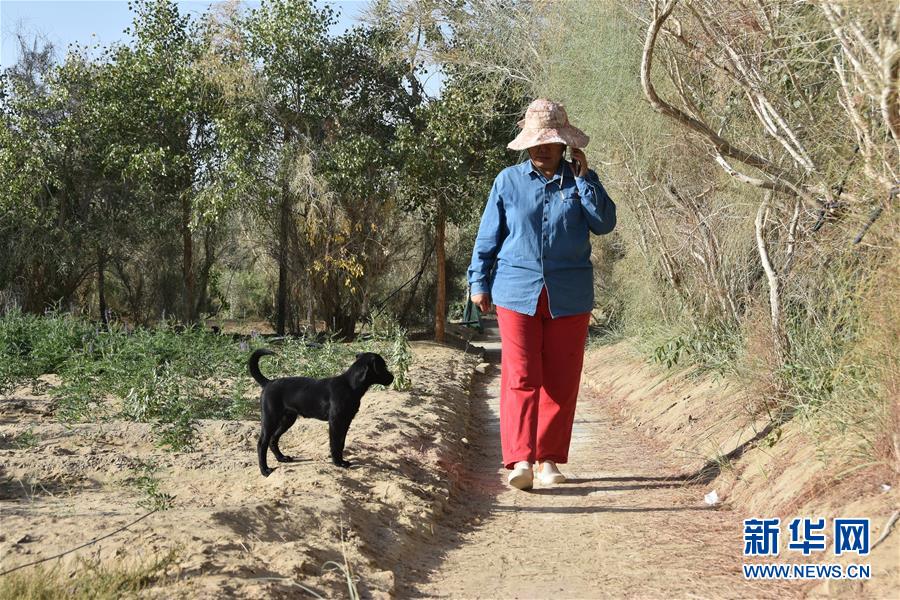 中科院新疆生态与地理研究所高级工程师常青的故事(最新发布)