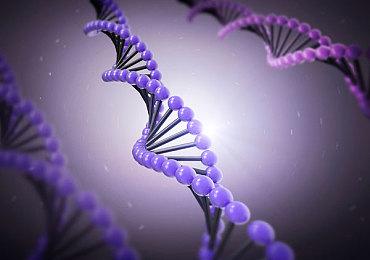 “基因球”真的存在？ 专家：中国基因测序发展已超科幻片