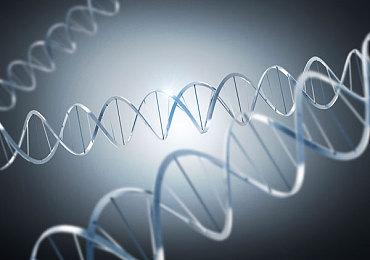 人造DNA结构信息密度可加倍可应用于合成生物领域