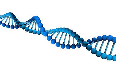 中国开发出新型“基因剪刀”载体 可实现基因编辑可控