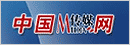 中国传媒网