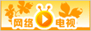 网络电视