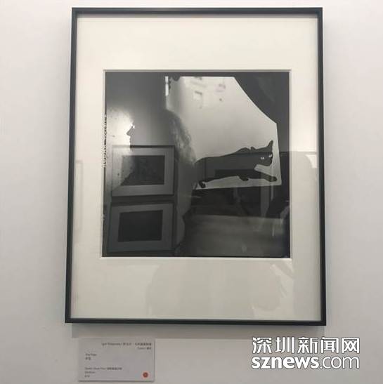 说明: C:UsersxiaosheDesktop艺术深圳597227096923557853.jpg