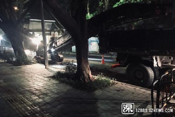 【报告】《问政深圳》简报（8月19日-8月25日），罗湖等部门有回应