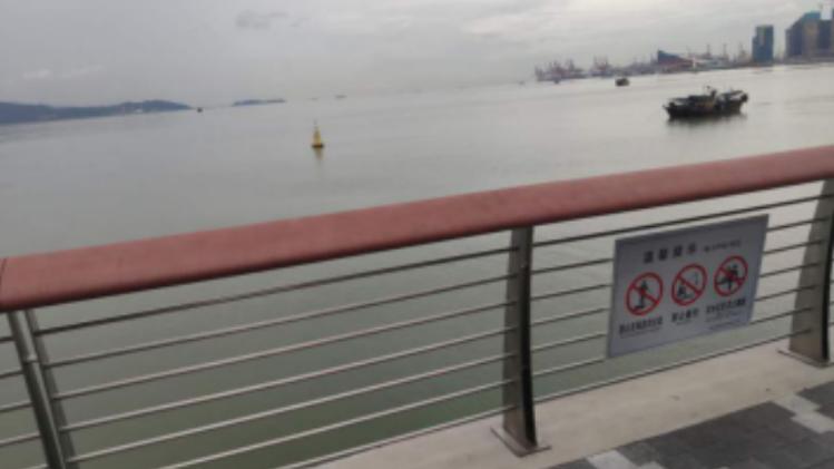 深圳湾海域有偷排污情况？回应：无排污迹象