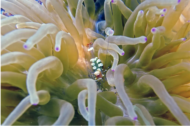 1635411514(1).png