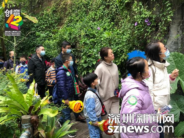 一起走进“魔法森林”！走读深圳-好奇种子带你领略青青世界的自然风采