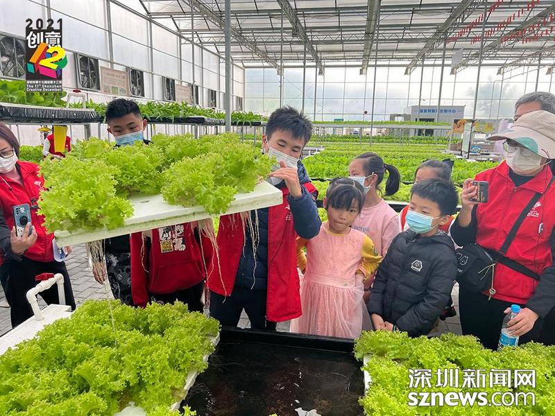 解锁植物的“魔法世界” 走读深圳—好奇种子带领小朋友们领略现代科技农业