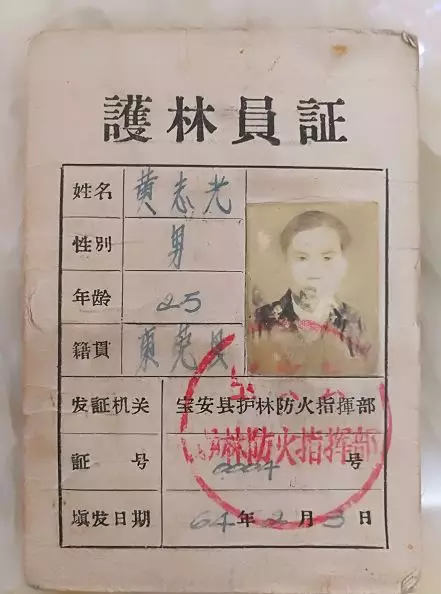 宝安县罗田林场指挥部当年给他填写了至今唯一保存下来的一张护林员证