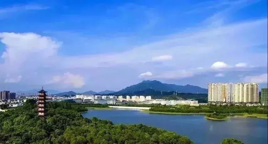 速看坪山区公开招聘80名幼儿园教师报名正在进行中