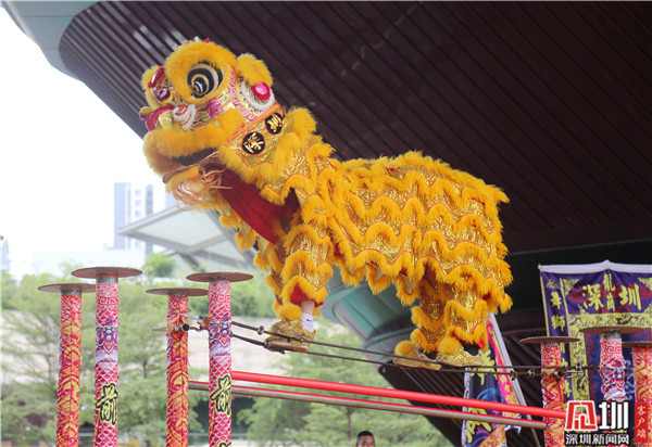 威风凛凛活灵活现龙岗区首届南北狮狮王争霸赛开锣
