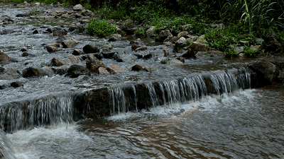 宝安水经注 | 天圳河,石龙仔河,龙眼山水:清泉石上流,在美丽石岩有你
