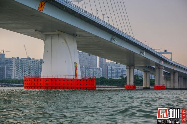 已经安装好的深圳湾大桥桥墩防撞设施