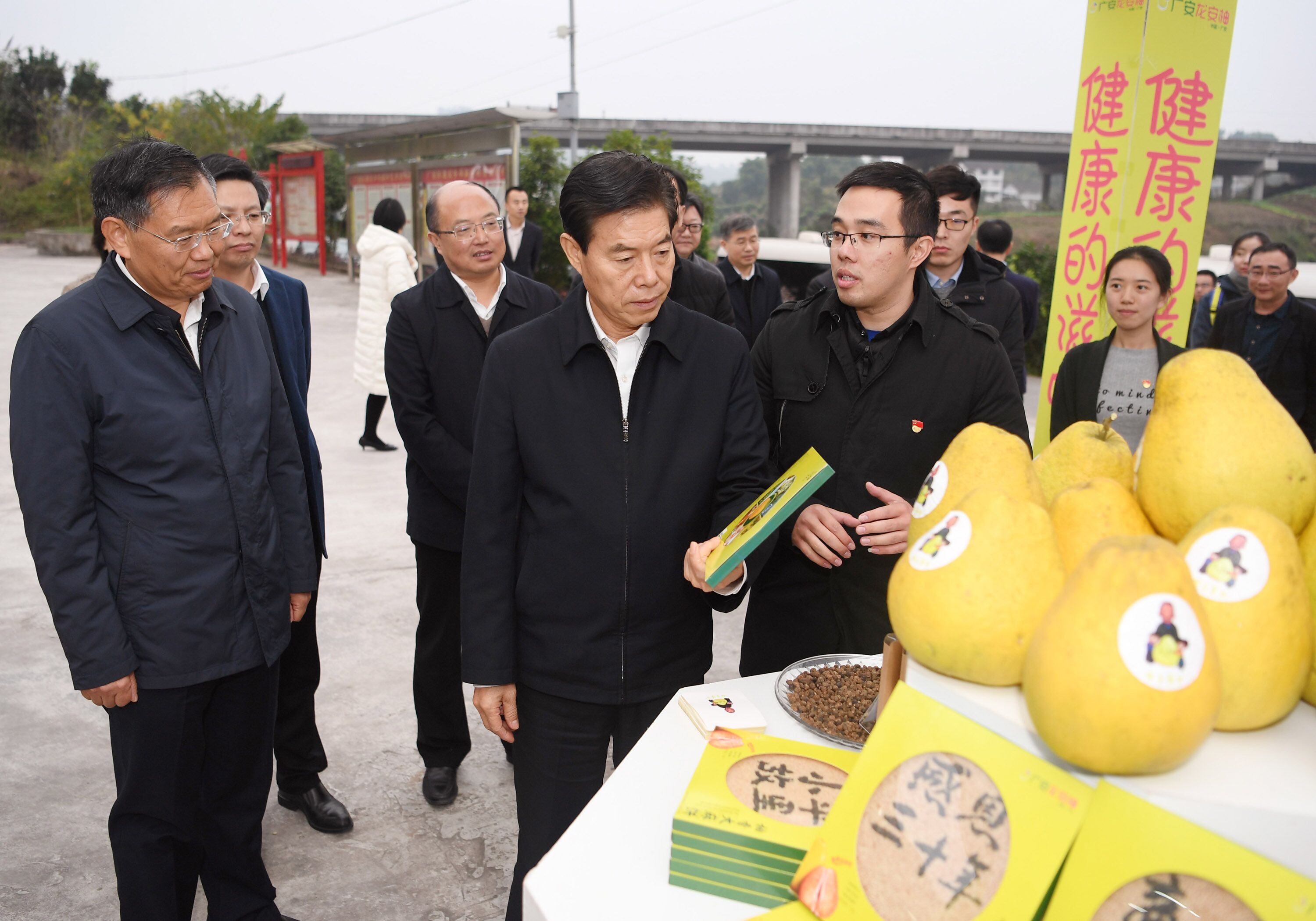 商务部部长为广安农业发展支招继续推进电子商务进农村和农产品进城