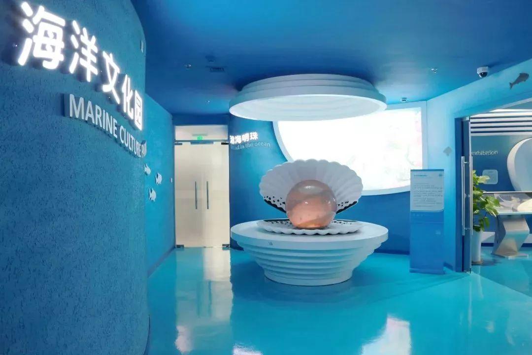 感受海洋文化探秘海洋生物本周六盐田区图书馆约起来
