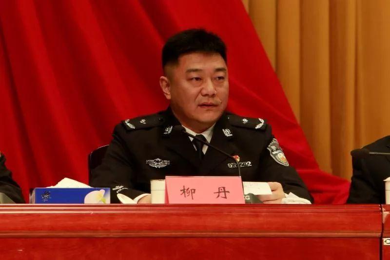 宝安区副区长,公安分局局长柳丹表示2020年,宝安公安分局将把维护政治