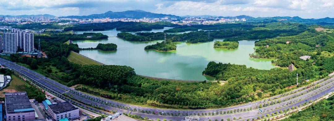 幸福茜坑丨这一年用可见的变化给你真实可感的小确幸