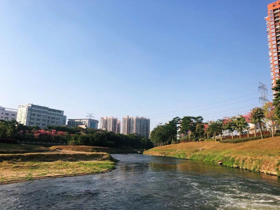 幸福茜坑丨这一年用可见的变化给你真实可感的小确幸