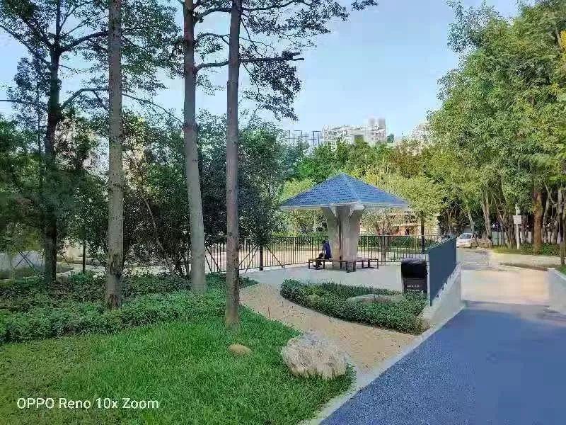 景田北二街公园华丽升级,家门口的社区公园又多一个_深圳新闻网
