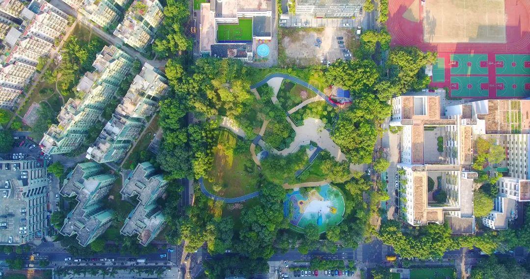 景田北二街公园华丽升级,家门口的社区公园又多一个_深圳新闻网