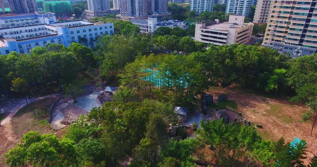 景田北二街公园华丽升级,家门口的社区公园又多一个_深圳新闻网