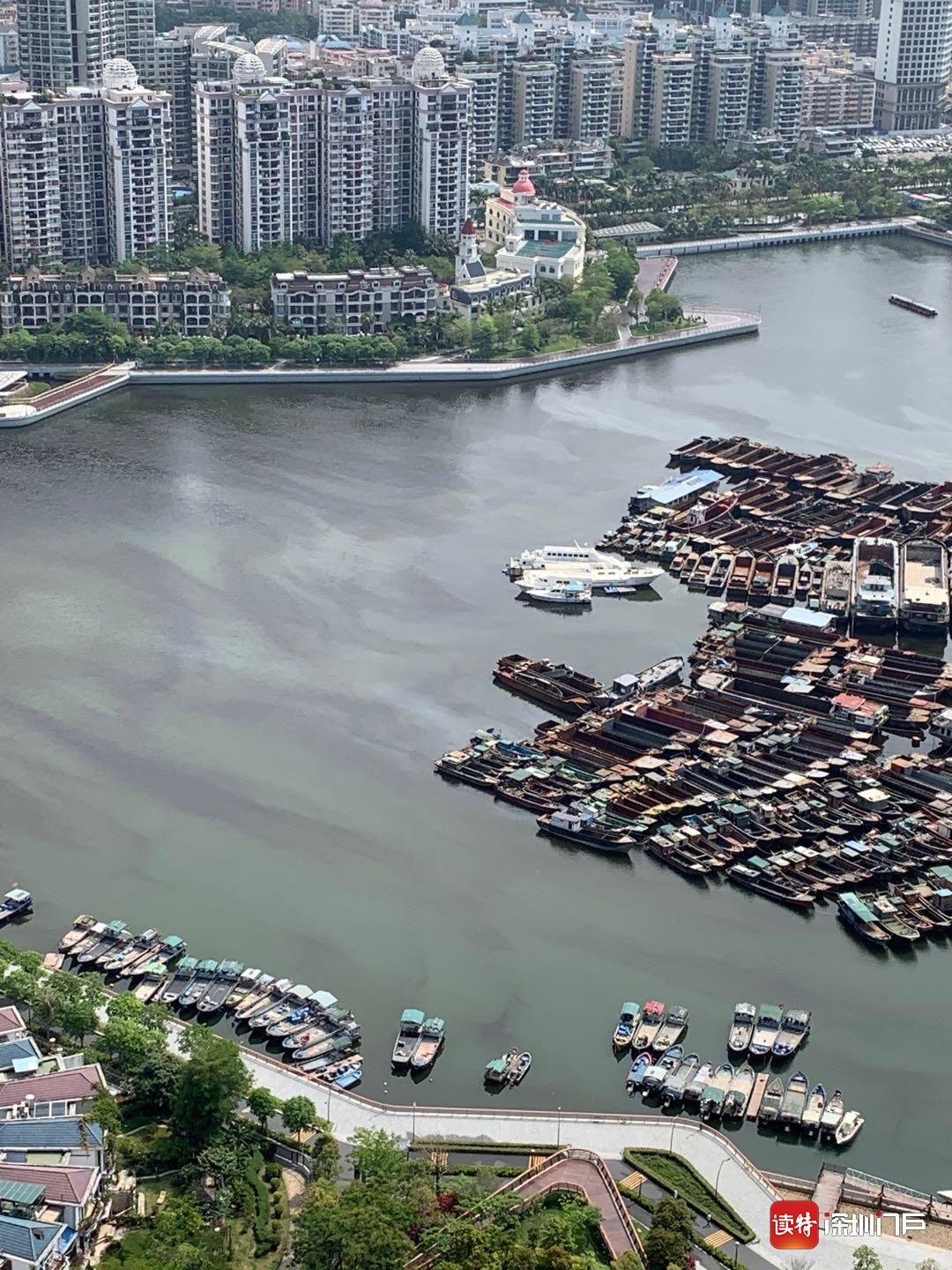 赤潮灾害进入多发季 深圳对重点海域启动早期预警监测_深圳新闻网