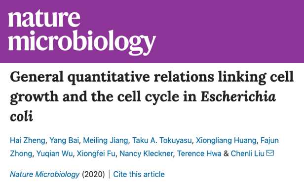 深圳先进院在 自然 微生物学 杂志刊文揭示合成生物个体建构原理 深圳新闻网