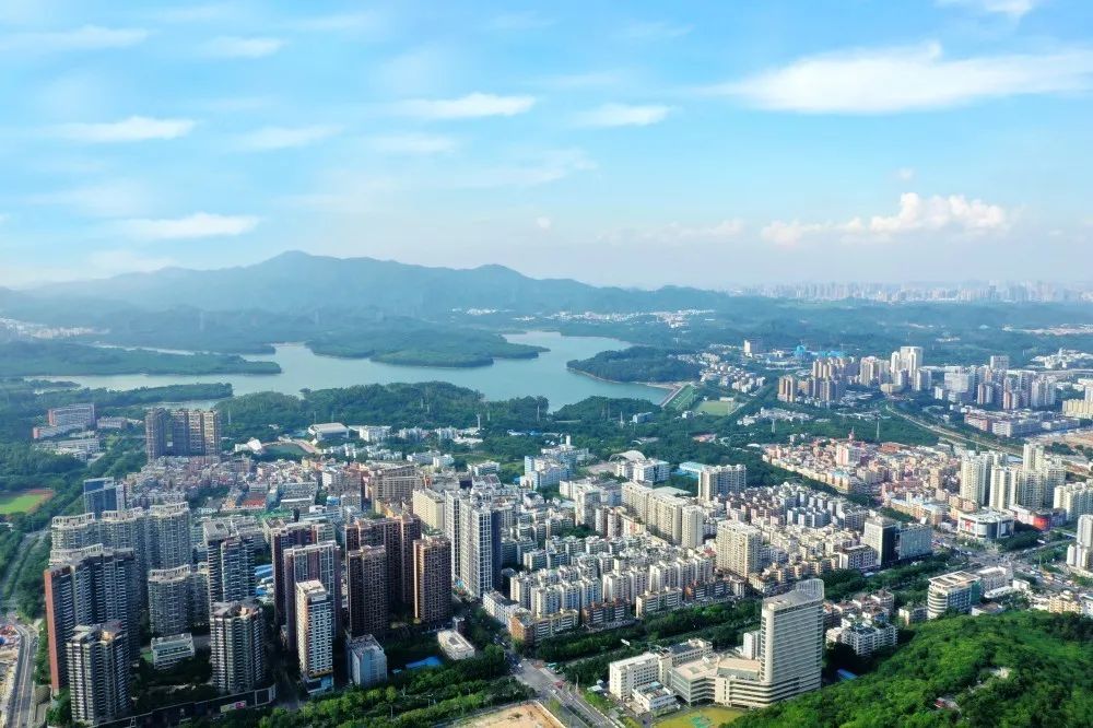 西丽湖国际科教城三年行动方案发布 打造湾区创新型经济增长级_深圳新闻网
