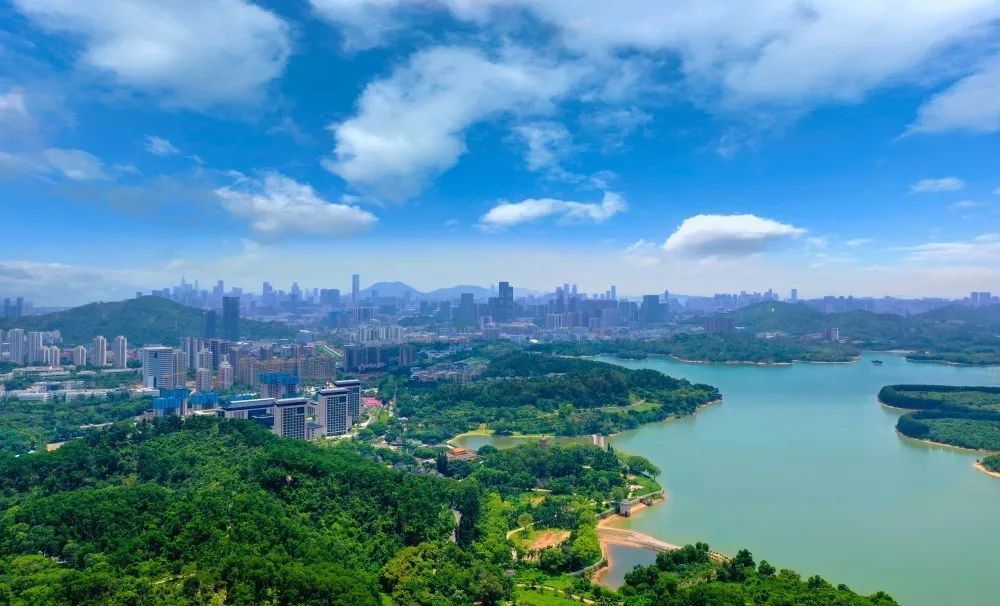 西丽湖国际科教城三年行动方案发布 打造湾区创新型经济增长级_深圳新闻网