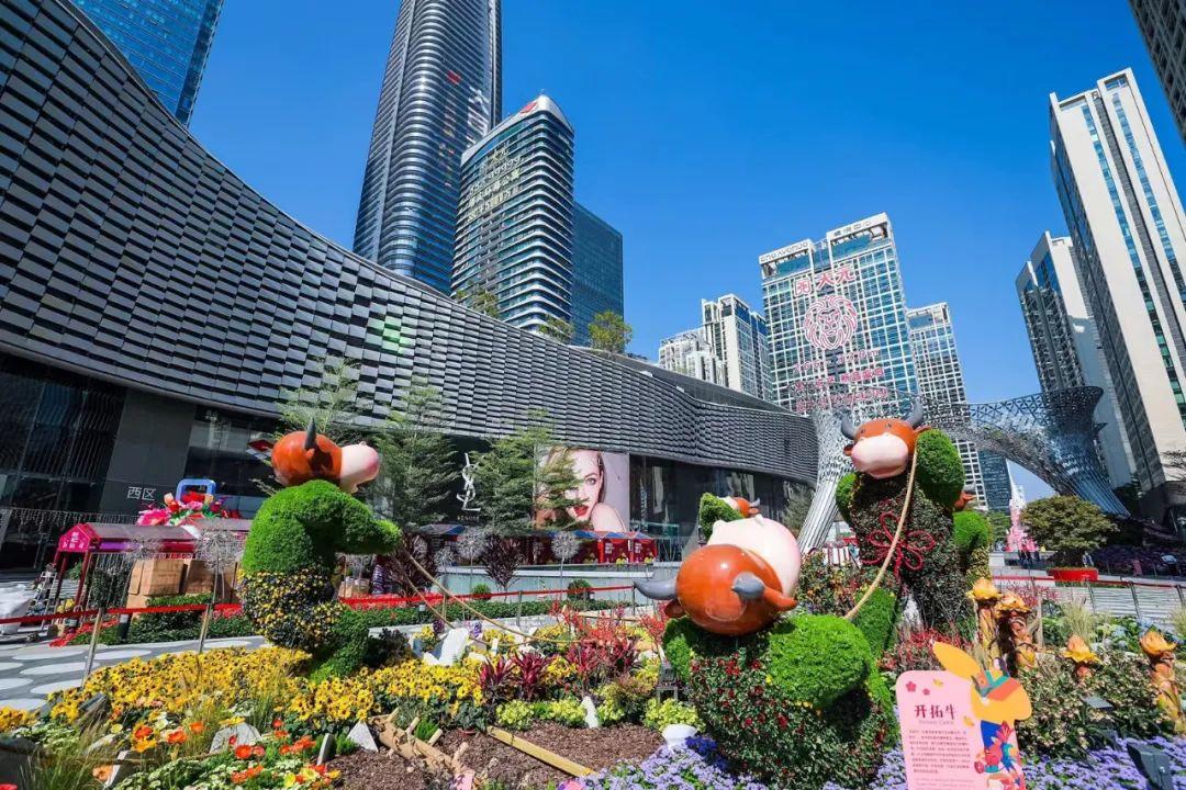 福田区39个购花点正式开放,带你赏繁花似锦,享岁月静好