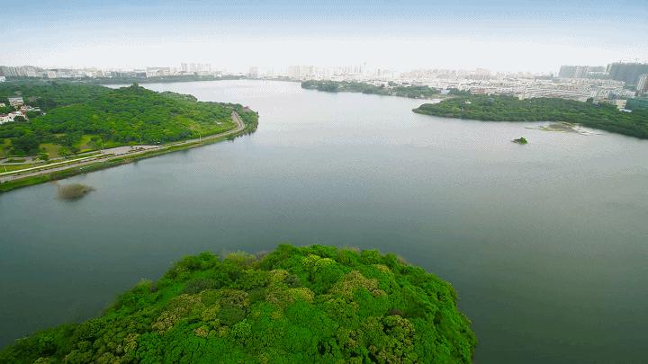 春节游宝安·福海篇 | 帮你挑好了,必看的游玩观光好去处_深圳新闻网