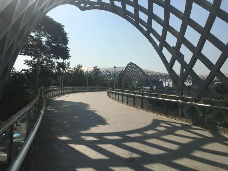 更方便了!南山规划新增61处立体人行过街设施_深圳新闻网