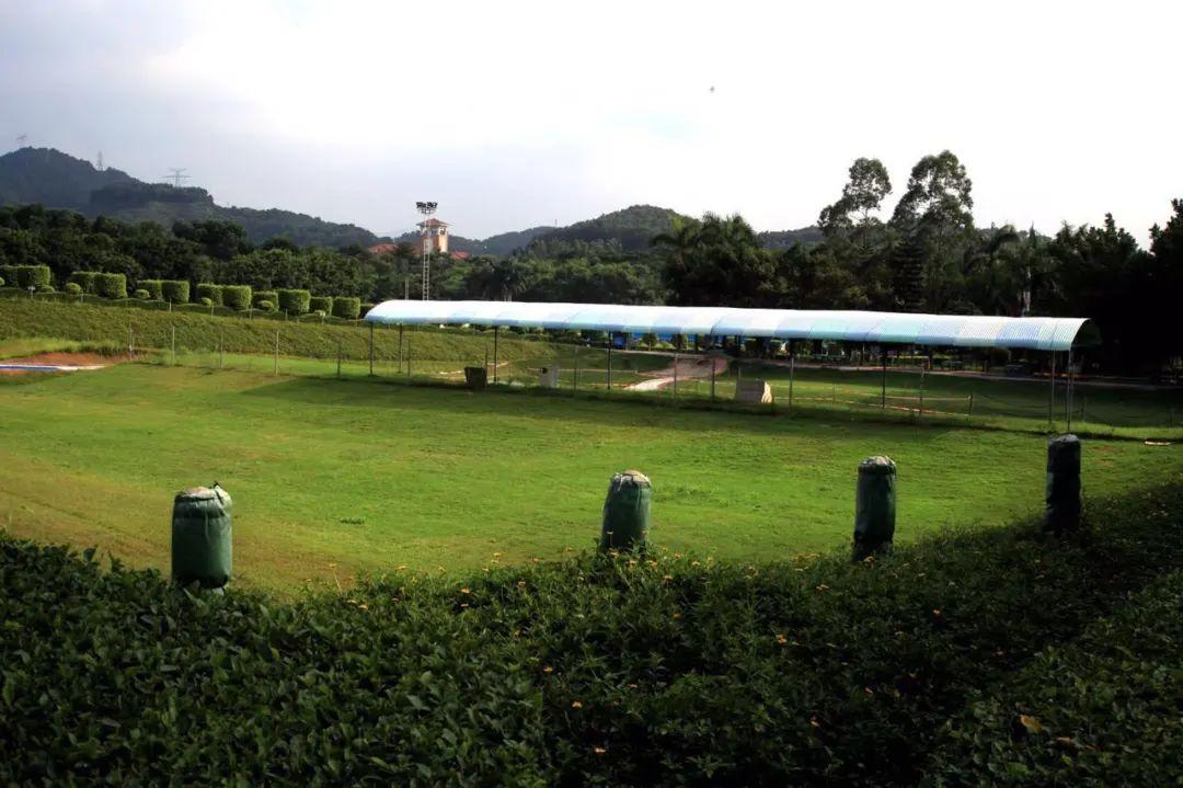 光明热度top4光明农场大观园滑草场