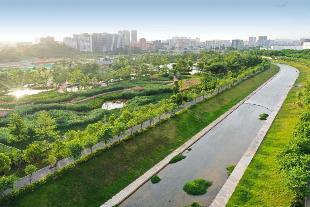 打卡高颜值的茅洲河碧道(光明段)!游玩指南戳这里_深圳新闻网