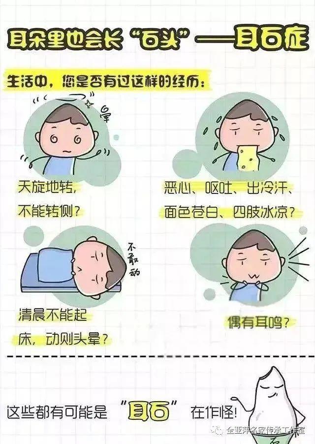 突如其来的头部眩晕,竟然是耳朵里的"石头"在作怪