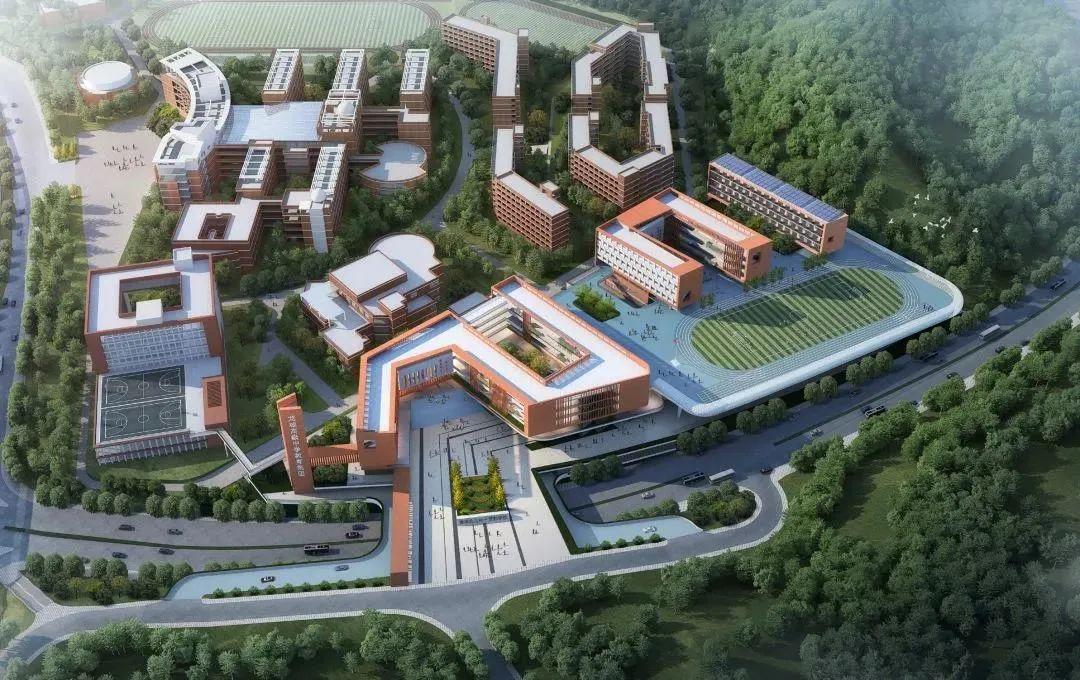 小学、初中、高中都有!龙岗这些学校建设最新进展来了~_深圳新闻网