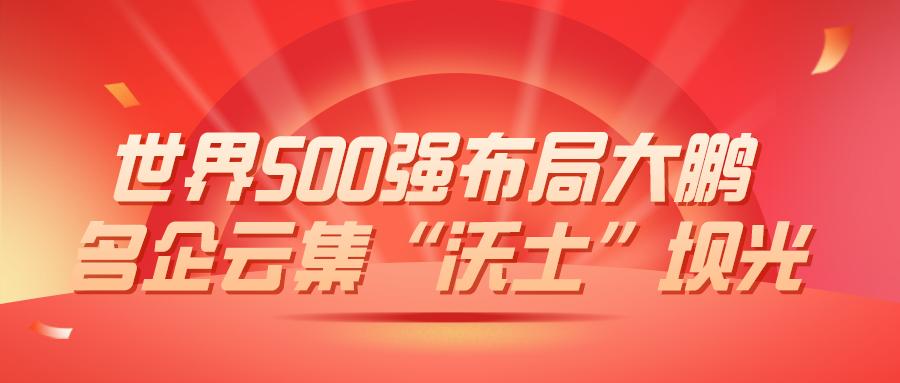 风雨无阻的奋进征程写在十三五圆满收官十四五全面开启之际