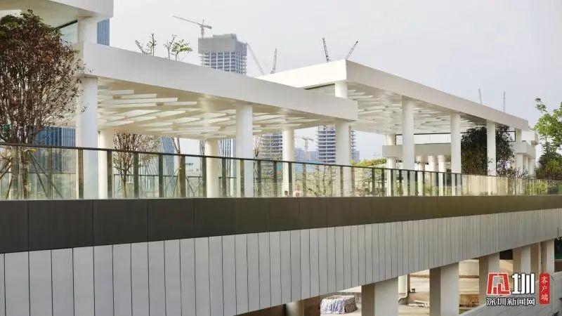 前海港湾学校:未来教育长啥样?看深圳前海这所"5g学校"