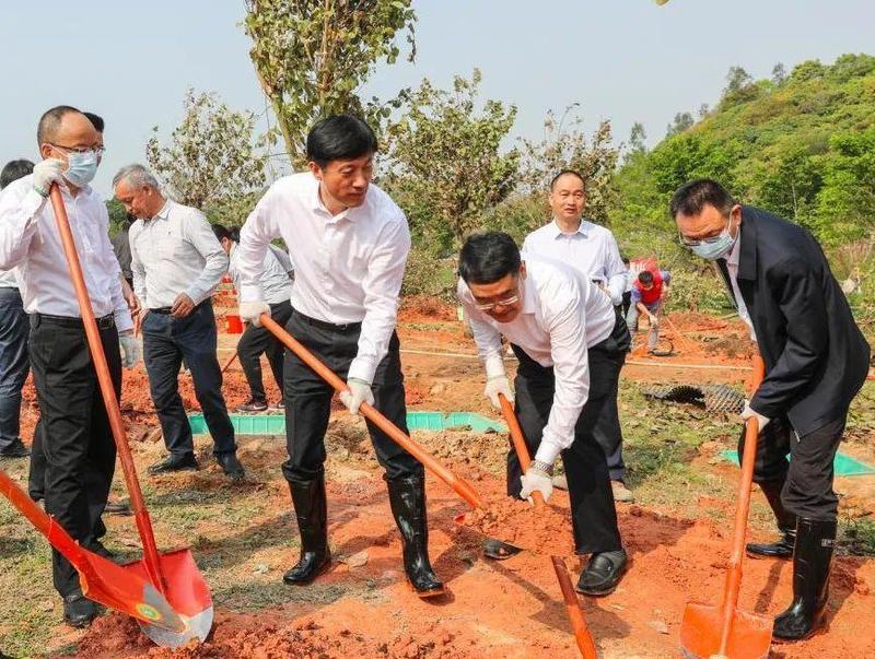 浇水大家热情高涨,相互协作植树现场3月12日上午,坪山区委书记陶永欣