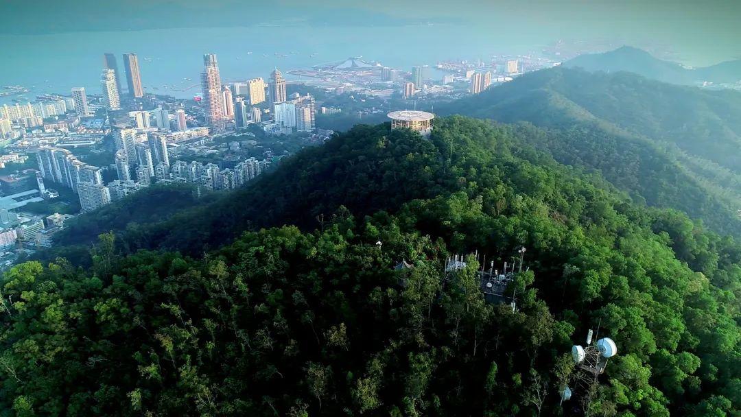 沿途设施公园景点:途经荔林公园,月亮湾公园,青青世界,兴海公园,小