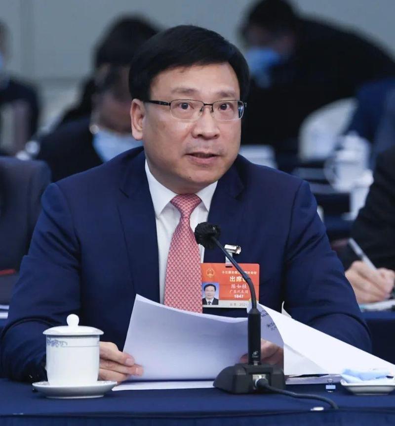 全国人大代表,深圳市市长陈如桂在参加广东代表团审议报告时发言在