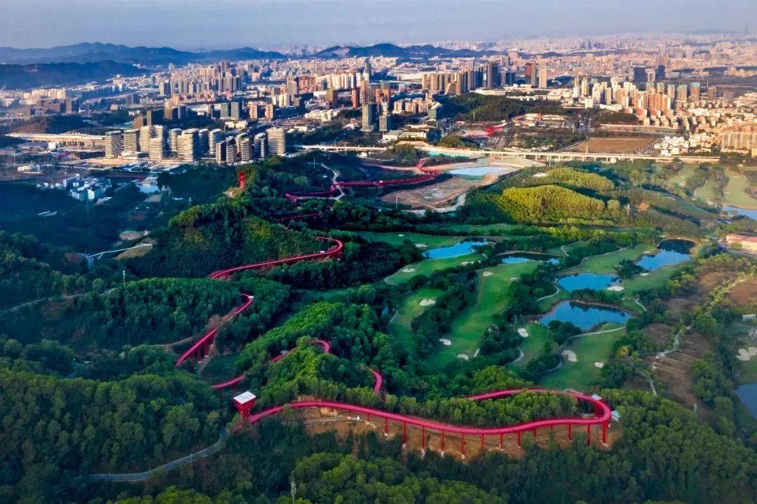 【关注】100张照片让你爱上"美丽深圳"!你能发现作品里的光明吗?