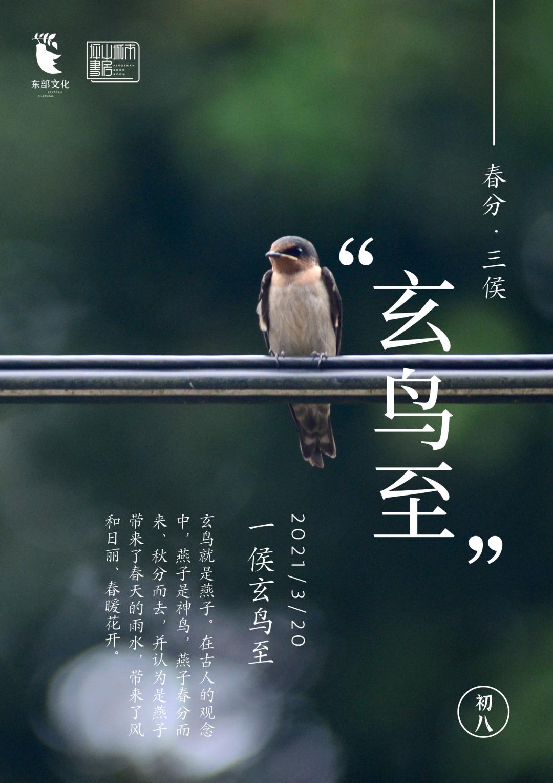 今日春分 | 迟日江山丽,春风花草香