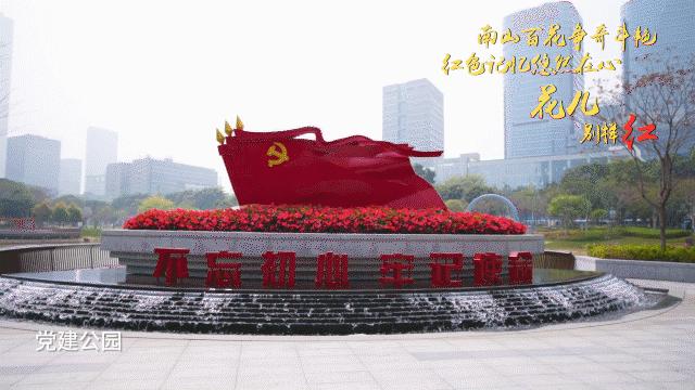 建党百年倒计时100天!千架无人机炫舞深圳湾,奋进南山花儿别样红